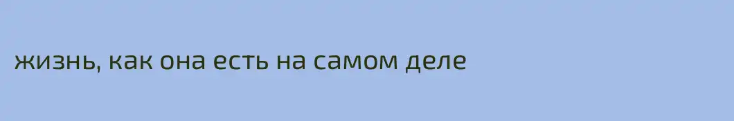 жизнь, как она есть на самом деле